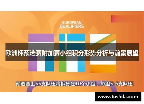欧洲杯预选赛附加赛小组积分形势分析与前景展望