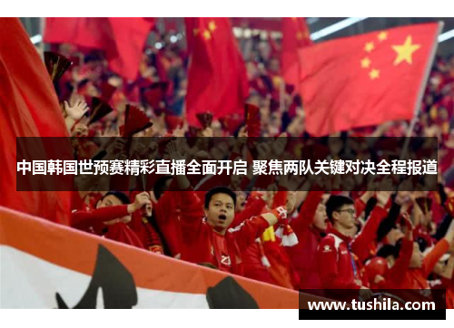 中国韩国世预赛精彩直播全面开启 聚焦两队关键对决全程报道