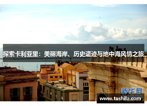 探索卡利亚里：美丽海岸、历史遗迹与地中海风情之旅