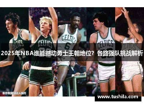 2025年NBA谁能撼动勇士王朝地位？各路强队挑战解析