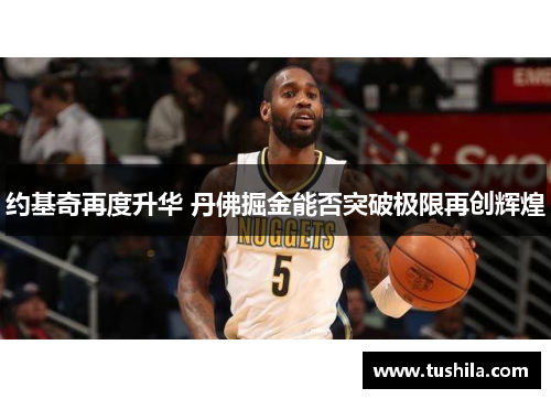 约基奇再度升华 丹佛掘金能否突破极限再创辉煌