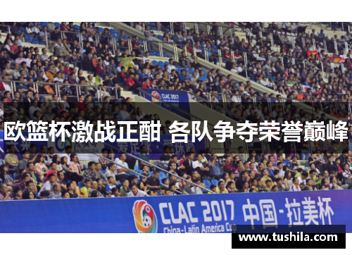 欧篮杯激战正酣 各队争夺荣誉巅峰