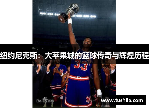 纽约尼克斯：大苹果城的篮球传奇与辉煌历程