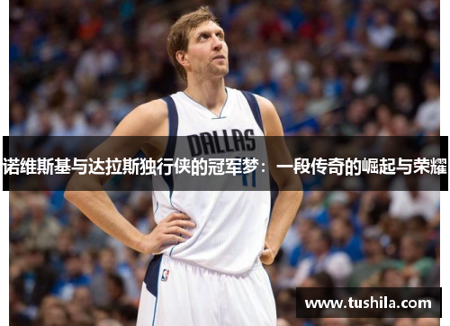 诺维斯基与达拉斯独行侠的冠军梦：一段传奇的崛起与荣耀