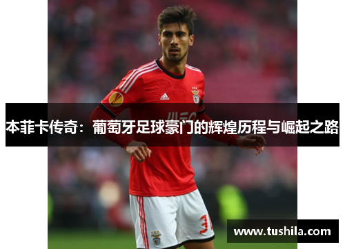 本菲卡传奇：葡萄牙足球豪门的辉煌历程与崛起之路