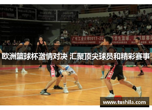欧洲篮球杯激情对决 汇聚顶尖球员和精彩赛事