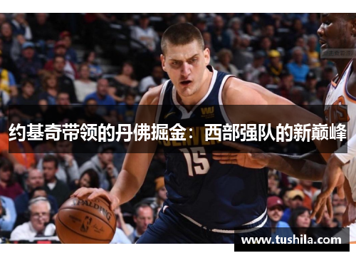 约基奇带领的丹佛掘金：西部强队的新巅峰