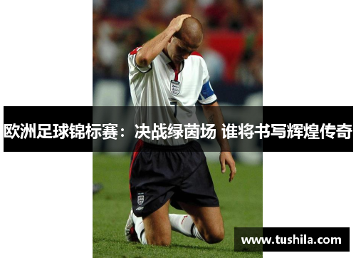 欧洲足球锦标赛：决战绿茵场 谁将书写辉煌传奇