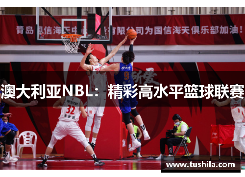 澳大利亚NBL：精彩高水平篮球联赛