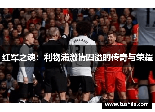 红军之魂：利物浦激情四溢的传奇与荣耀