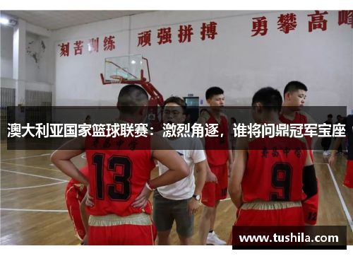 澳大利亚国家篮球联赛：激烈角逐，谁将问鼎冠军宝座
